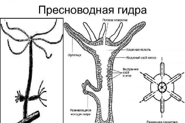 Kraken россия